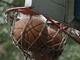 ������ �� ����������  / ���� ����� ���������� / uaSport.net