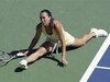 US Open. Ƴ���. ������� ������ � �����������