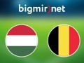 Венгрия - Бельгия 0:4 трансляция матча Евро-2016