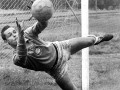 Умер легендарный вратарь сборной Бразилии