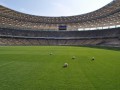 Специалисты: Газоны украинских арен идеально готовы к матчам Евро-2012
