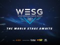     WESG 2017