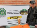 В Колумбии задержали наркоторговецев, провозивших кокаин в Кубке мира ФИФА