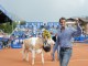 Роджер Федерер и его новая корова