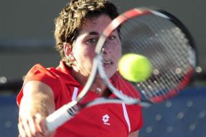 ������� ����������� Fed Cup
