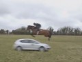 Ирландский жокей на коне перепрыгнул движущийся автомобиль