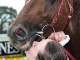 Дэвид Джонс целует своего коня после скачек в Мельбурне, Австралия