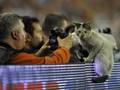 Фанаты Шахтера отправляются в Стамбул на поиски фартовой кошки