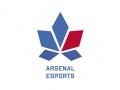 Киевский Арсенал откроет киберспортивную школу