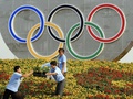 Олимпийцев-2012 наградят цветами в горшках