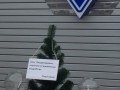 Евромайдан извинился перед Блохиным за испорченный праздник  (ФОТО)