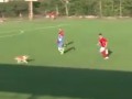 В Румынии футболист получил травму, врезавшись в выбежавшего на поле пса