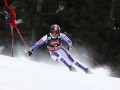 Зимние виды спорта: Горные лыжи - побег через ворота