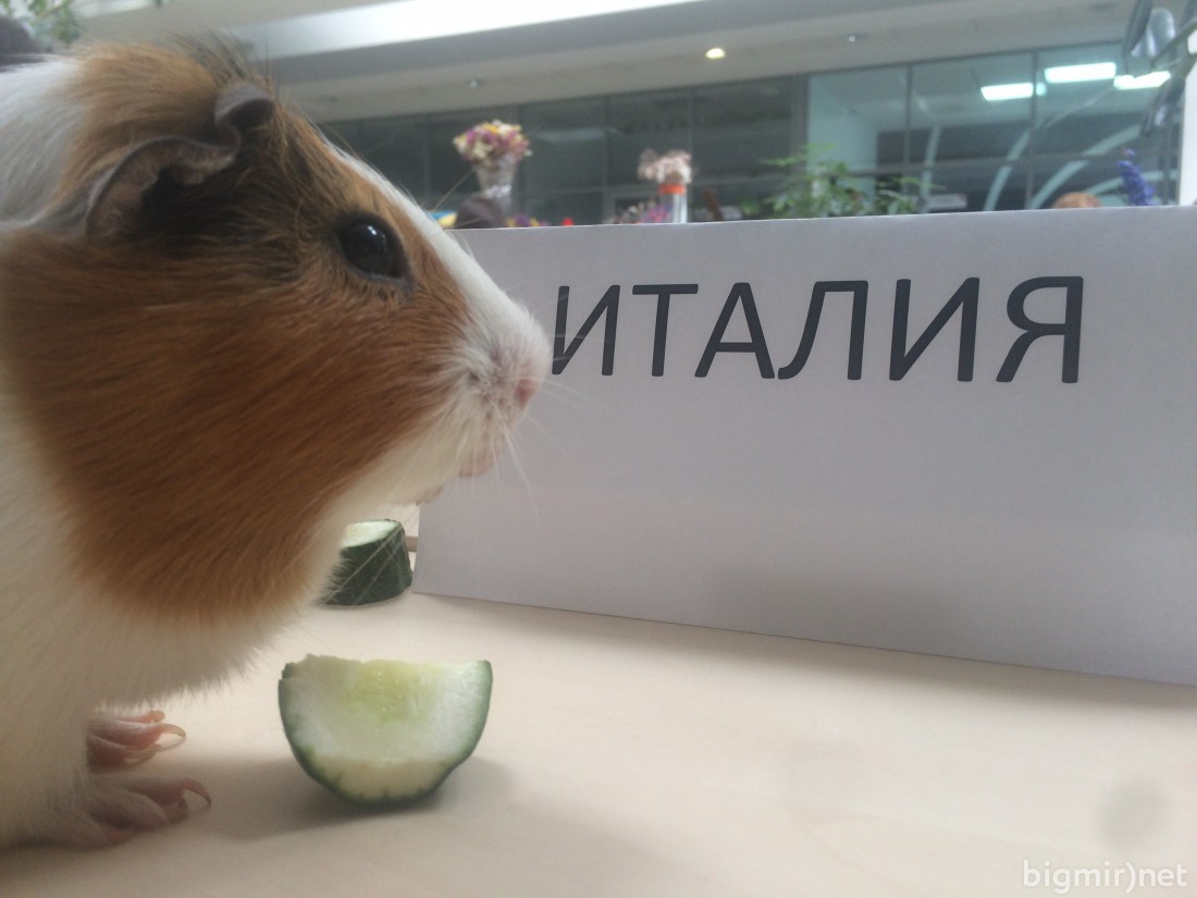 Марсель Николаевич
