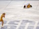 Максим Траньков из России целует лед после оглашения результата после выполнения произвольной программы парного фигурного катания. Пара Татьяна Волосожар и Максим Траньков завоевали золото