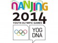 Украина отправит 58 спортсменов на Юношеские Олимпийские игры
