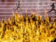 Спортсмены пробегают мимо Олимпийского огня во время соревнований по легкой атлетике на Олимпиаде в Лондоне  