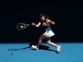 Свитолина и Костюк заявлены на турниры WTA в Катаре и Франции в марте