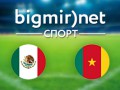 Мексика – Камерун – 1:0 текстовая трансляция матча чемпионата мира 2014