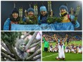 Исторический успех Украины и футбольное безумие - спортивные итоги года