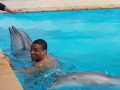 Беленюка на отдыхе укусил дельфин