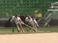К Евро-2012. Переукладка газона на арене во Вроцлаве