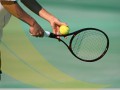 Сборную Украины по теннису в матче с Испанией поддержит группа депутатов