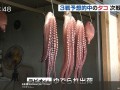 В Японии съели осьминога, предсказавшего исходы матчей сборной на ЧМ-2018