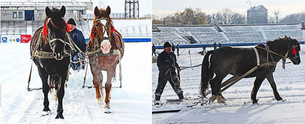 Стадион Тепловика расчищали от снега конями