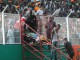 29 марта 2009 года. Во время матча отборочного цикла Чемпионата мира по футболу 2010 года между сборными командами Кот-д’Ивуара и Малави, на стадион Феликс Уфуэ-Буаньи в Абиджане, вмещающий 45 тысяч зрителей, прорвав полицейское оцепление прорвалось 50 тысяч зрителей. В ответ на это полиция применила слезоточивый газ, что лишь усугубило происходящее. В образовавшейся давке погибли 22 человека, 132 получили травмы различной степени тяжести. Происходящее привело к обрушению части стены спортивного сооружения.