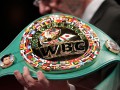 WBC отказался выставлять чемпионский пояс за несколько часов до боя Бриедис - Гловацки