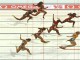 У женщин 100 м с барьерами с Олимпийским рекордом выиграла австралийка Салли Пирсон. Победителя определял уже фотофиниш