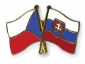 Платини дал добро на объединение Чемпионатов Чехии и Словакии